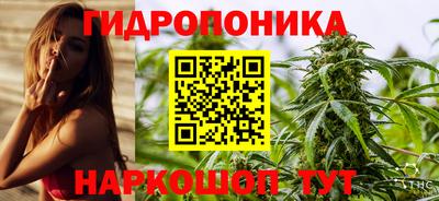 прущий лед Будённовск