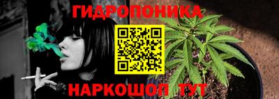 прущий лед Будённовск