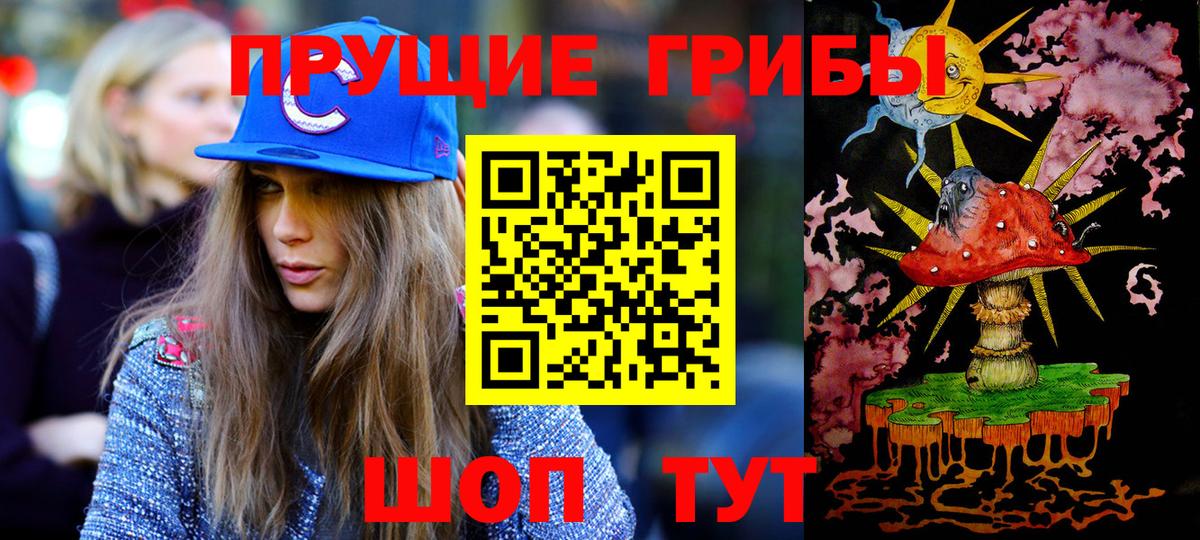 Осинники  Галлюциногенные грибы Psilocybe  Вход с VPN  Галлюциногенные грибы Psilocybe 