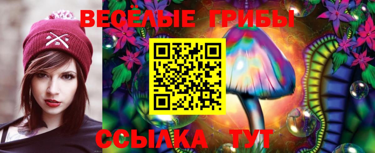 Галлюциногенные грибы прущие грибы Осинники